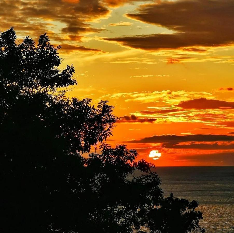 Recanto Toca Das Plantas De Ilhabela II Buitenkant foto