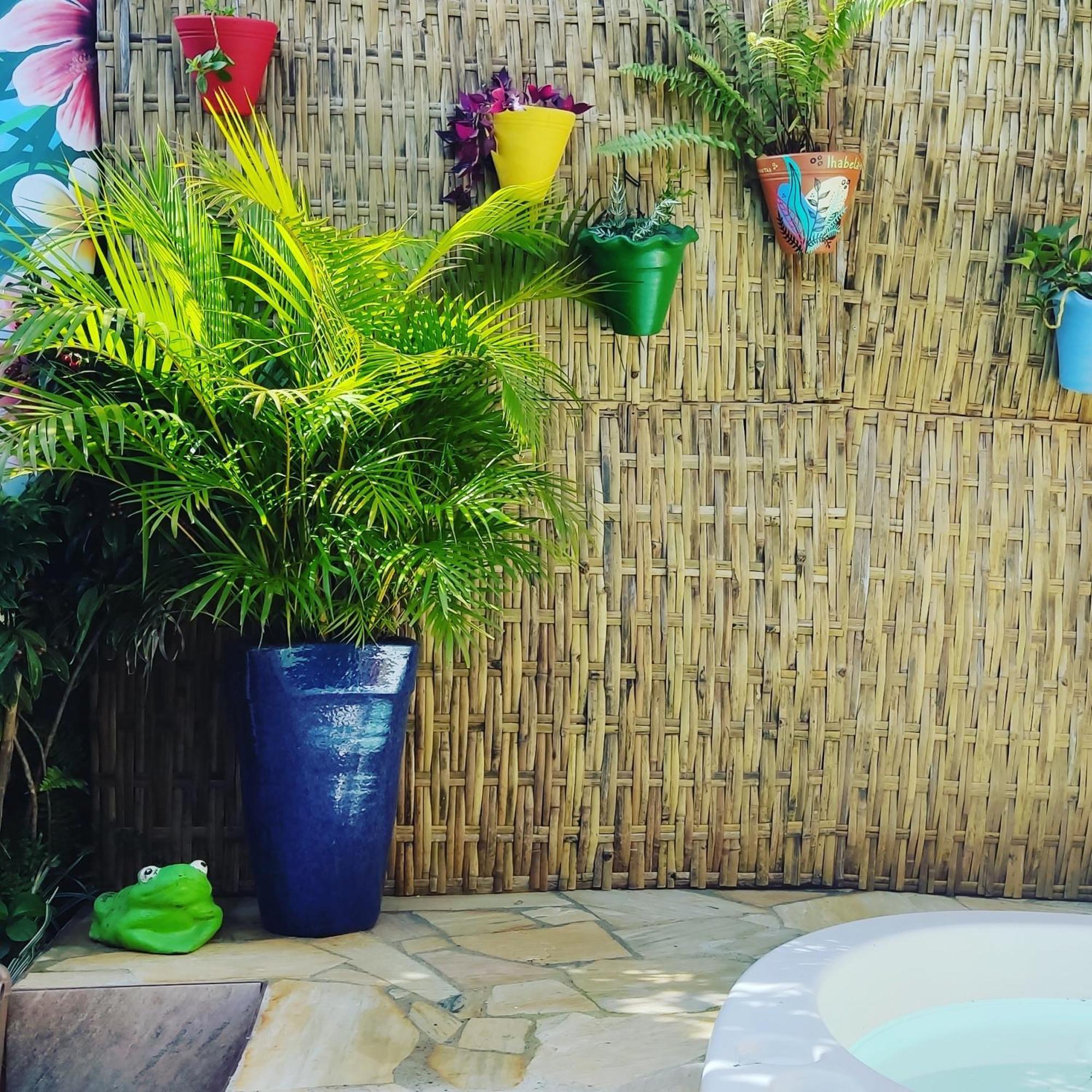 Recanto Toca Das Plantas De Ilhabela II Buitenkant foto