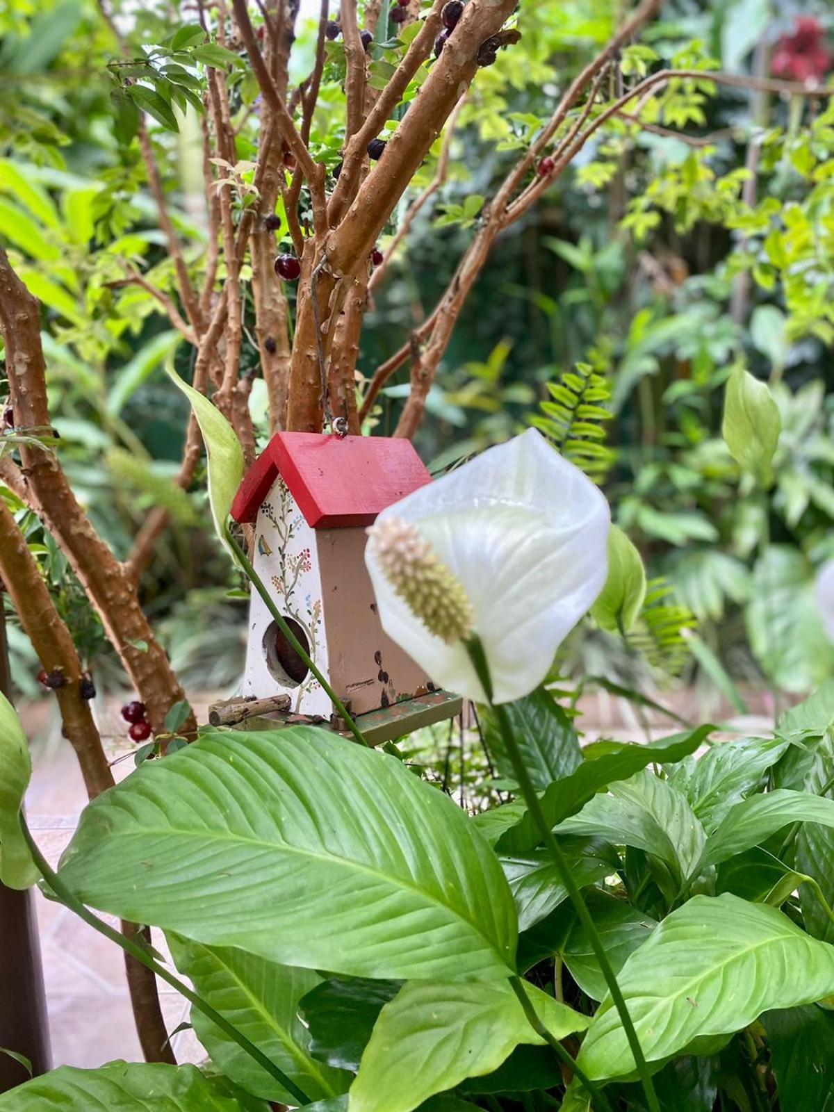 Recanto Toca Das Plantas De Ilhabela II Kamer foto
